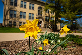 A photo of yellow tulips. Links to Beneficiary Designations